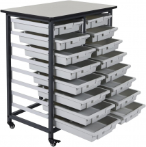 Mobile Bin System