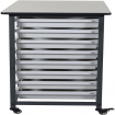 Mobile Bin System