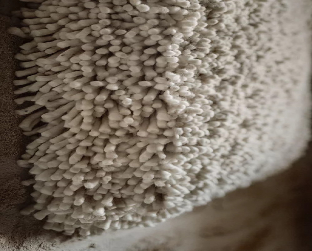 Tapestry Hand Knotted and Woven